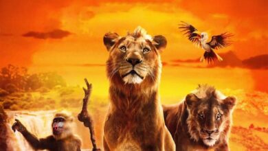 Mufasa : The Lion King 5 IMG 20241227 WA0066