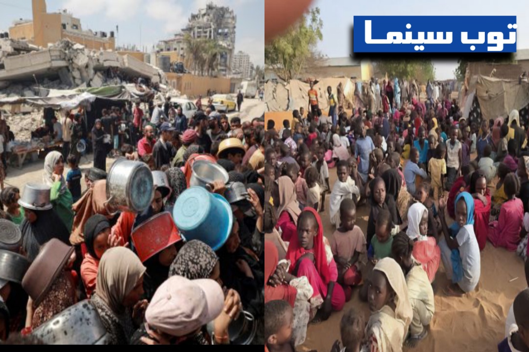 توب سينما تطلق حملة تضامن مع سكان غزة والفاشر غرب السودان 1 landscape 3 2 1754472054580
