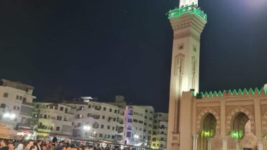 الاحتفال بمولد السيد البدوي في مصر يثير الجدل 5 135744 الاحتفال بمولد السيد البدوي 2