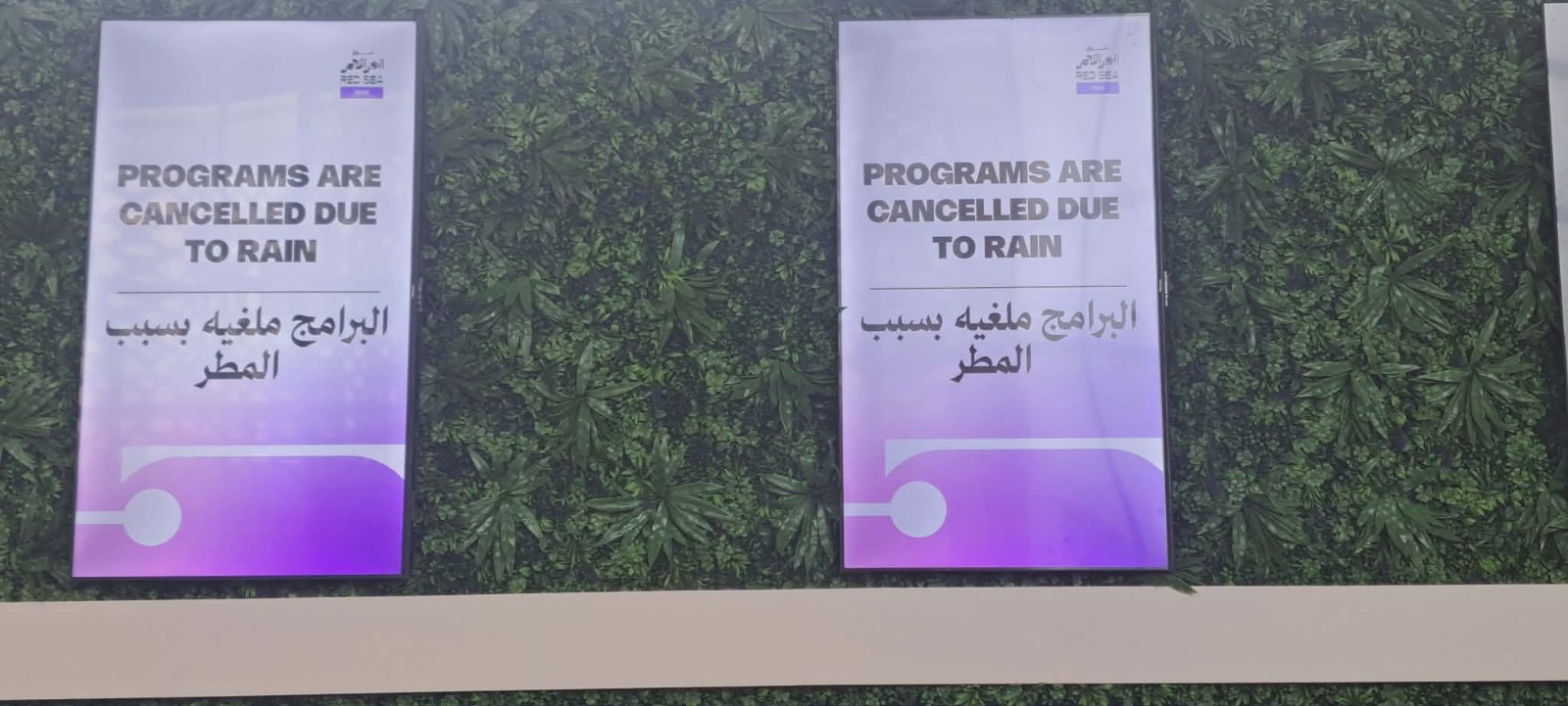 الأمطار تتسبب في تعليق فعاليات مهرجان البحر الأحمر السينمائي 1 19 2025 639008896432804305 280
