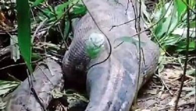674834