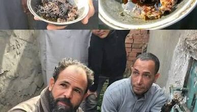 العثور على 25 كيلوغرامًا من العسل داخل مقبرة مغلقة في المنوفية 6 IMG 20260112 WA0008