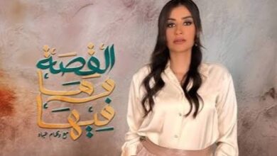 الأعلى للإعلام يتخذ إجراءات ضد قناة "القصة وما فيها" 4 IMG ٢٠٢٦٠٣٢٨ ١٦٠٨١١
