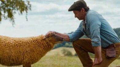فيلم الخراف البوليسية يحقق 1.3 مليون ريال في السعودية 7 images 2026 05 23T145519.627