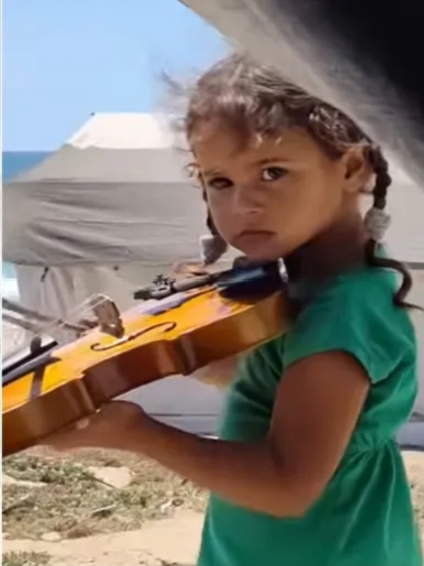 طفلة غزة العازفة على الكمان.. تتمسك بالأمل رغم النزوح وفقدان أبسط الحقوق 1 Screenshot 20260623 093812 com hihonor photos SlotAlbumActivity