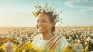 "ملكة القطن" السوداني يزين شاشة الهناجر اليوم بحضور أبطاله 7 images 99