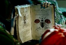 Insectario book