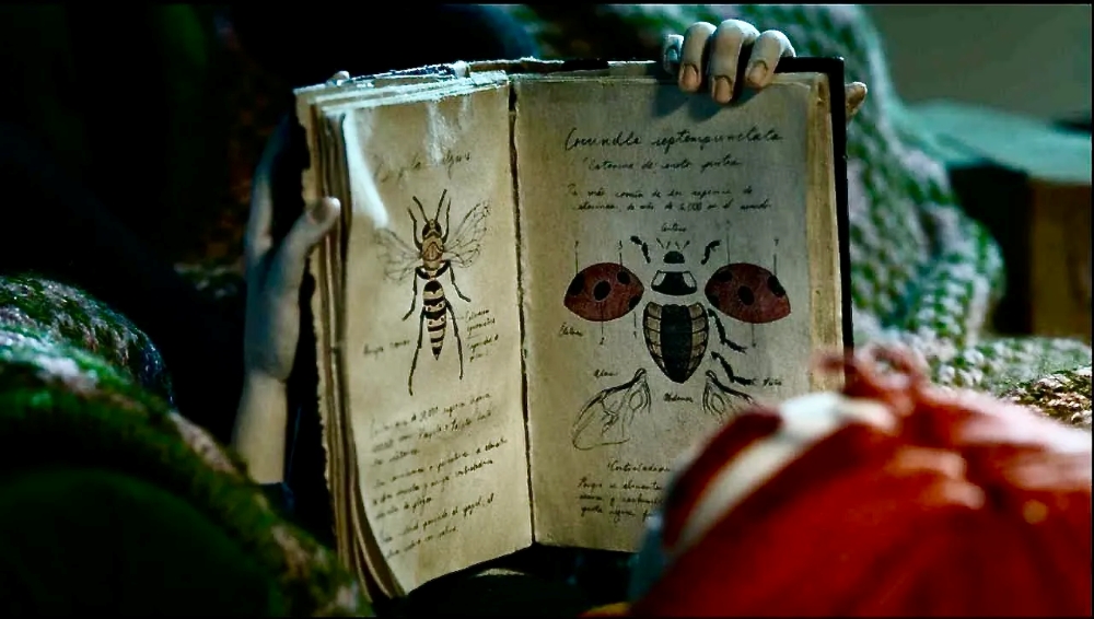 عودة الحشرات من الانقراض.. أول فيلم طويل لمبدعة التحريك صوفيا كاريو 1 Insectario book
